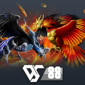 Sabong - Live Cockfighting on nustar